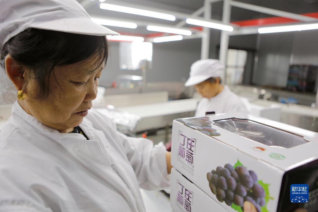 小美斗地主姚记官方下载